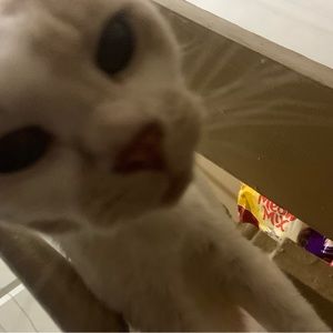 Meet your Posher, Nedra